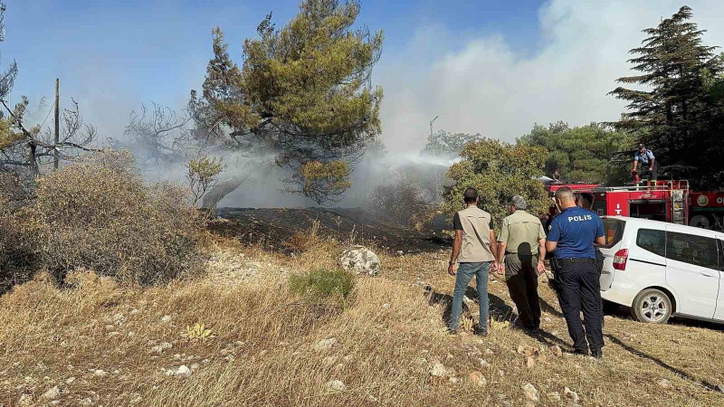 Gaziantep’teki orman yangını kontrol altına alındı